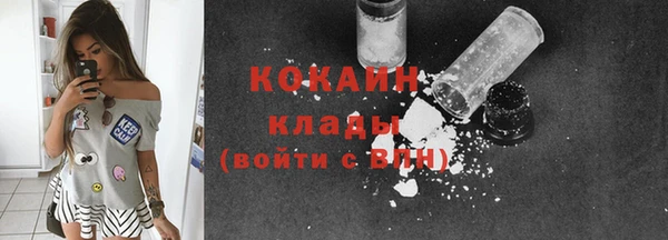 СК Тайга