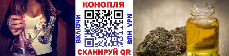Конопля планчик Балей